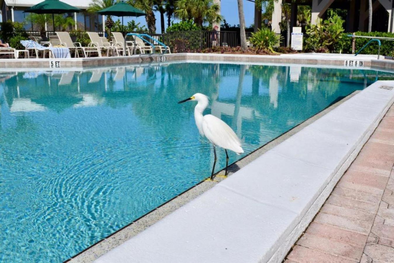 Caribbean Beach Club Fort Myers Beach Εξωτερικό φωτογραφία